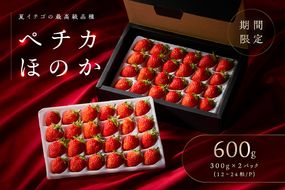 《期間限定》【夏イチゴの最高級品種 ペチカほのか 300g（12～24粒）×2パック】 国産 夏イチゴ 香美苺 苺 イチゴ いちご フルーツ 果物 ギフト 贈答 プレゼント お中元 兵庫県 香美町 村岡 ユースランド 18-06