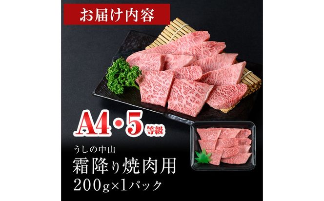 ＜A4・A5等級＞鹿児島県産黒毛和牛 うしの中山 霜降り焼肉用200g a2-113