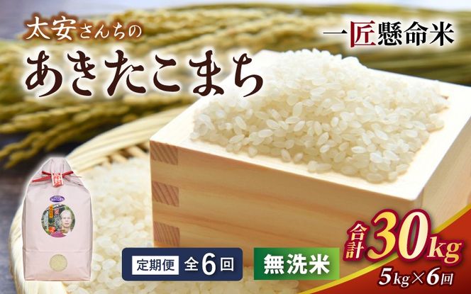 ＜定期便 全6回＞ 令和8年産米 真庭市産 太安さんちのあきたこまち 無洗米 5kg×6回 / お米 国産 岡山県 人気 ブランド 2026年産 【tkns-tkb046】