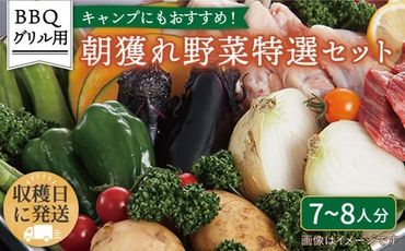 ☆キャンプにもおすすめ☆バーベキュー・グリル用朝獲れ野菜特選セット[福岡県糸島産](たっぷり7〜8人分) 糸島市 / オーガニックナガミツファーム 野菜 詰め合わせ 