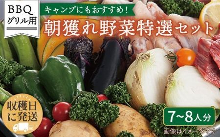 ☆キャンプにもおすすめ☆バーベキュー・グリル用朝獲れ野菜特選セット【福岡県糸島産】(たっぷり7〜8人分) 糸島市 / オーガニックナガミツファーム 野菜 詰め合わせ [AGE039]