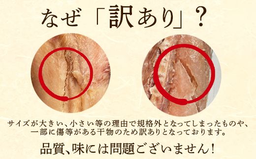 【2026年6月下旬発送】訳あり 干物・切身 セット 4.7kg 規格外 傷 不揃い