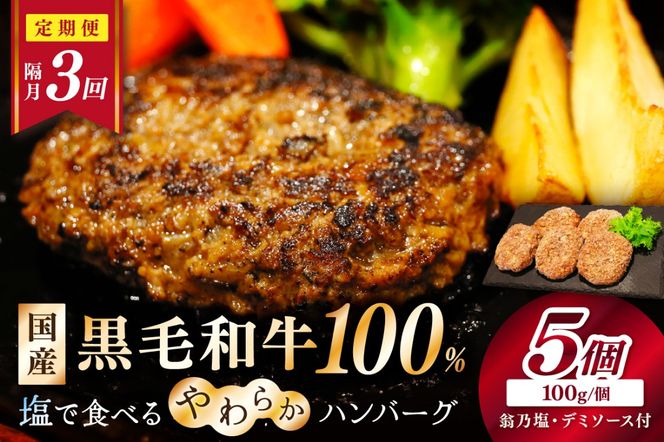 <定期便・隔月3回>塩で食べるやわらかハンバーグ（デミグラスソース付）　NH00043