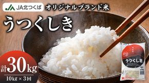 【 定期便 3ヶ月 】 JA北つくば オリジナル ブランド米 「 うつくしき 」 10kg ( コシヒカリ )  ( 5kg × 2袋 ) 令和6年産 農協 JA 米 お米 白米 コメ こしひかり 茨城県 精米 新生活 応援 [AE046ci]