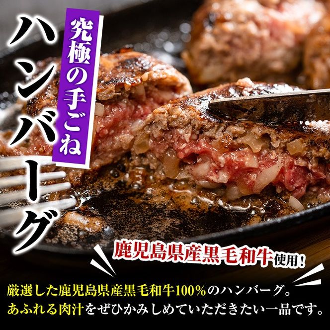定期便・全6回(隔月)＞＜訳あり＞鹿児島県産黒毛和牛！手ごね