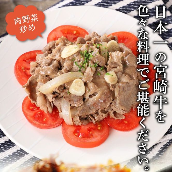 宮崎牛 切り落とし500g N0140-YA1107