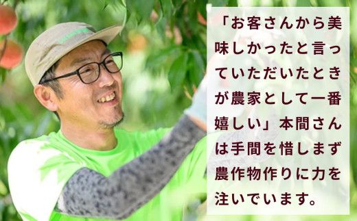 [2回定期便] 旬のネクタリン＆旬の桃 約2.6～3kg 食べ比べ 年2回定期便 ［おぶせファーマーズ］ネクタリン 白桃 旬の桃　ルーツ 果物 冷蔵便 クール便 長野県産 信州産 小布施 令和8年産【2026年7月中旬～8月下旬発送】