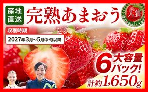 あまおう 約1650g（約275g×6パック） 【先行受付／2027年3月～5月中旬順次発送予定】いちご 苺 福岡高級 フルーツ お取り寄せ ご当地グルメ 福岡土産 取り寄せ グルメ 福岡県 食品 社会福祉法人 猪位金福祉会