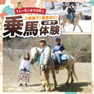 里山で乗馬体験（馬のブラシがけと乗馬でむらをお散歩）1人から5人まで可能【055-12】｜馬 乗馬 乗馬体験 体験 散歩 うま 動物 里山 長野県 伊那市 信州