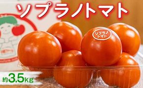 ソプラノトマト　約3.5kg ※2026年1月上旬～5月下旬頃に順次発送予定◆