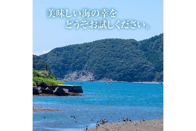  佐伯市産 国産海藻詰め合わせ (9品) ひじき 海藻 ふりかけ ちりめん こんぶ あおさ 味噌汁 サラダ ごはん おにぎり 常温 国産 大分県 佐伯市【DE03】【安部水産 (株)】