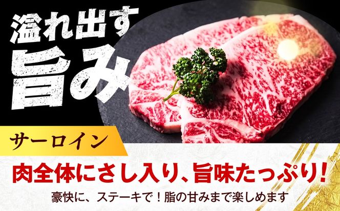 博多和牛 牛肉 サーロイン ステーキ 500g（250g×2枚）《築上町》【肉のくまもと屋】[ABEZ005]