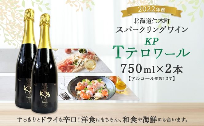北海道産 スパークリング ワイン 750ml 2本 KPワイン Tテロワール ぶどう ナイアガラ 葡萄 ブドウ 白ワイン 辛口 酒 お酒 贈答 贈り物 お祝い ギフト 記念日 送料無料 
