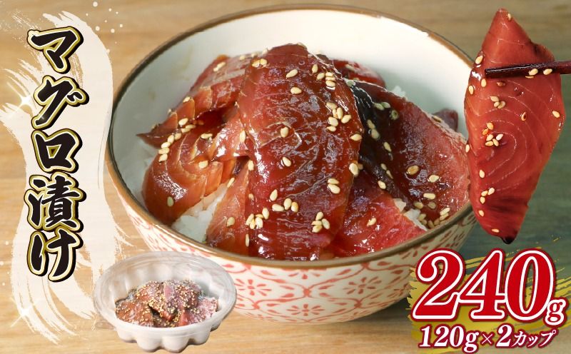 マグロ 漬け 120g以上×2個 鮪 漬け 丼 茶漬け 刺身 静岡県 藤枝市
