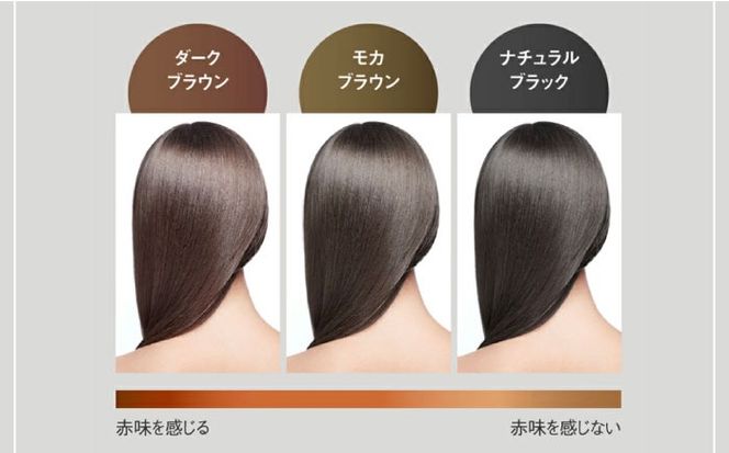 リシリアフレル カラートリートメント 専用ボトル+詰め替え用パウチセット 糸島市 / 株式会社ピュール トリートメント 白髪染め[AZA173] トリートメント 白髪染め 保護 補修 保湿  乾燥 髪 無添加 ノンシリコン