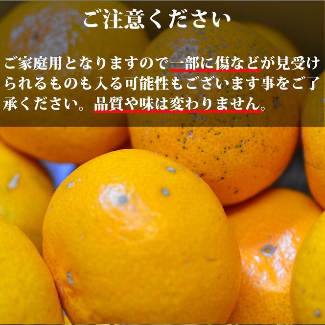【2026年先行予約】【訳あり 家庭用】濃厚な味わいのこだわり 有田みかん 3kg (早生みかん・大小混合)_EA6033n