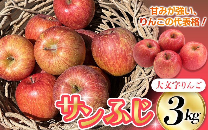 りんご・梨カテゴリ人気ランキング入り! ≪12月末までの受付≫[2025年12月上旬より順次発送]大文字りんご園 サンふじ 約3kg (中玉7〜10玉)/ 樹上完熟 りんご リンゴ 林檎 果物 くだもの フルーツ 甘い 旬 産地直送 予約 先行予約