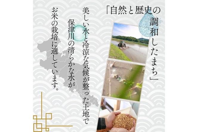 令和6年産 新米 京都府産 キヌヒカリ 白米 5kg ｜ 米 お米 コメ 白米 精米したて ごはん ご飯 京都丹波米  ※北海道・沖縄・離島への配送不可