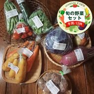159-2054-02　【定期便12回】旬の野菜セット（年間/12回）【 神奈川県 大磯町 季節野菜セット 新鮮野菜】