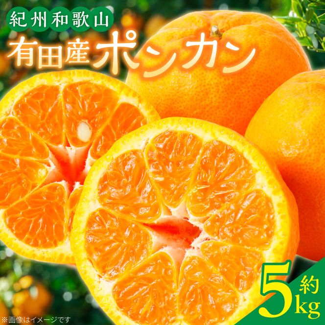 G7055_【2027年先行予約】紀州和歌山有田産 ポンカン 5kg