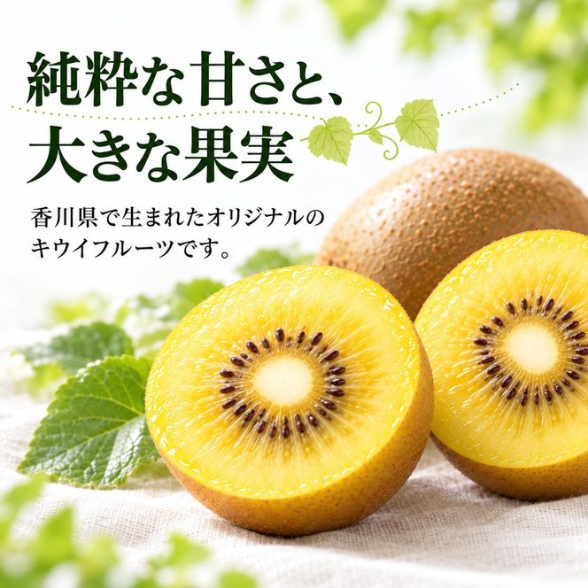 キウイ キウイフルーツ さぬきゴールドキウイ ゴールデンキウイ ゴールドキウイ 香川県産 国産 約3.5kg L～4Lサイズ 16～24玉 大玉 香川県オリジナル品種 追熟 食べごろ 甘い 朝食 デザート フルーツ 果物 くだもの 果実 香川県 東かがわ市 46312064