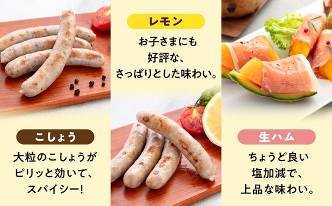 ウインナーセット【本場ドイツで連続金賞受賞】生 ウインナー 5種 30本 + 生ハム 詰め合わせ セット 糸島 / 糸島手造りハム [AAC004] ウインナー ハム 贈答 ギフト 贈り物 のし対応 BBQ 焼肉  お歳暮