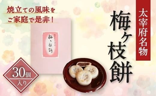 yɕ{szyɕ{z ~} 30     Qq  Ė Ă َq  yY Mtg v[g  Ⓚ