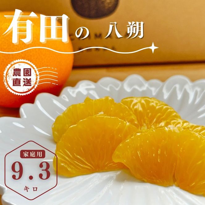 【ふるさと納税】【先行予約】 八朔 9.3kg（箱込み10kg） 家庭用 サイズ混合 柑橘 フルーツ はっさく 産地直送 お取り寄せ 送料無料 FA11