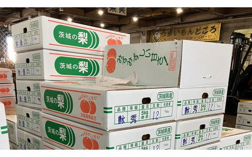 【 2026年8月下旬発送開始 】 茨城県産 梨 豊水 （約 5kg ） 10～14玉  梨 なし 和梨 日本梨 果物 フルーツ 新鮮 旬 期間限定 国産 先行予約[CL002us]