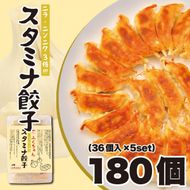 【大阪名物】大阪ふくちぁんスタミナ餃子 冷凍生餃子 180個 ［36個入×5セット］ 272183_AY12