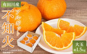 アルギット 不知火 約1.5kg 大玉 サイズ（5～6玉）| 先行予約 不知火 デコ みかん 甘い おいしい ジューシー 完熟 期間限定 数量限定 フルーツ 果物 柑橘 人気 おすすめ 高級 こだわり ギフト 旬 お取り寄せ 送料無料 和歌山 有田川町     DT012