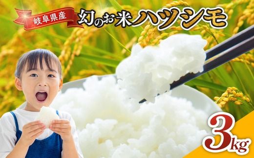 令和7年産 岐阜県産 ハツシモ 3kg | 米 お米 コメ こめ ハツシモ はつしも ごはん ご飯 おにぎり お弁当 白米 精米 ブランド米 幻の米 国産 岐阜県 瑞穂市
