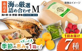 糸島産 魚 米 野菜 果物 厳選詰め合わせ MINORI BOX Mサイズ 糸島市 / emma.Inc / 米 魚 野菜 果物 詰め合わせ[AOP023]