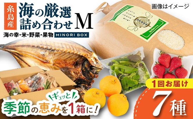 糸島産 魚 米 野菜 果物 厳選詰め合わせ MINORI BOX Mサイズ 糸島市 / emma.Inc / 米 魚 野菜 果物 詰め合わせ[AOP023]