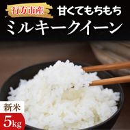 【令和7年産】★数量限定★甘くてもちもち ミルキークイーン 精米5kg｜米 お米 こめ ミルキークイーン 数量限定 令和7年産 茨城県 行方市 人気 送料無料(BR-2-1)