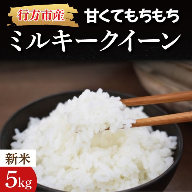 【令和8年産】★数量限定★甘くてもちもち ミルキークイーン 精米5kg｜米 お米 こめ ミルキークイーン 数量限定 令和8年産 茨城県 行方市 人気 送料無料(BR-2-1)