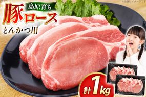 AK032 豚ロース とんかつ用 500g 2パック 計1kg [ 豚肉 ぶた肉 ロース 小分け 肉 お肉 とんかつ 1キロ BBQ バーベキュー 焼肉 アウトドア 1キロ スターゼン 長崎県 島原市 ]