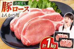 AK032 豚ロース とんかつ用 500g 2パック 計1kg [ 豚肉 ぶた肉 ロース 小分け 肉 お肉 とんかつ 1キロ BBQ バーベキュー 焼肉 アウトドア 1キロ スターゼン 長崎県 島原市 ]