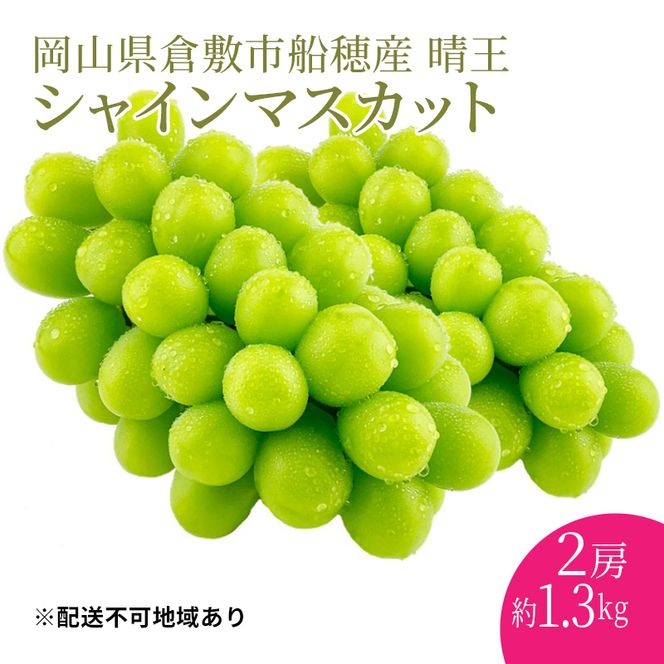 ぶどう 2026年度分 先行予約 【プレミアムシャインマスカット 晴王 2房 約1.3kg】船穂産　赤秀品以上  岡山県産 葡萄 ブドウ ギフト ハレノフルーツ 皮ごと食べる みずみずしい 