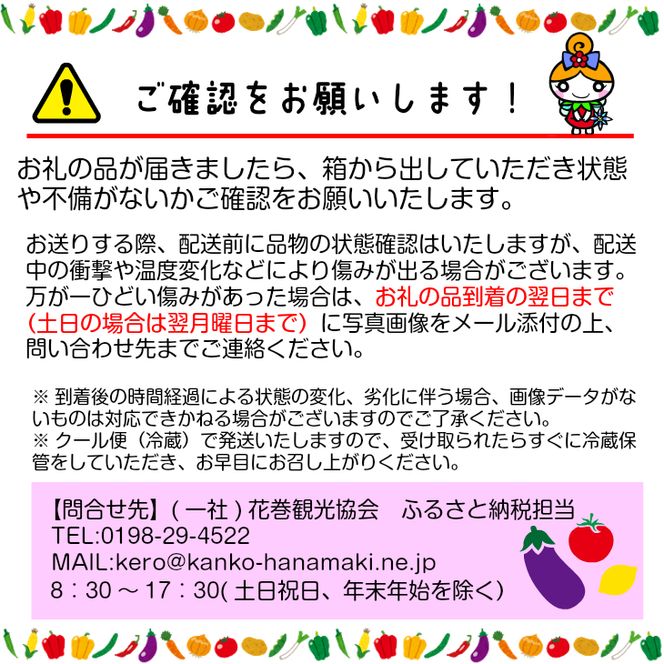 イーハトーヴ野菜C もりもりセット 11品～ 詰め合わせ 【1207】