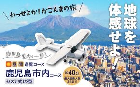 【昼間遊覧飛行】鹿児島市内コース セスナ式172型（大人3名まで）　K222-FT002