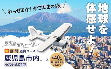 [昼間遊覧飛行]鹿児島市内コース セスナ式172型(大人3名まで)