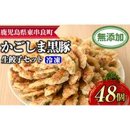 【0125122a】鹿児島黒豚生餃子セット(12個入×4パック・計48個)黒豚 豚肉 ぶた肉 餃子 ギョウザ ぎょうざ 惣菜【鹿児島ますや】