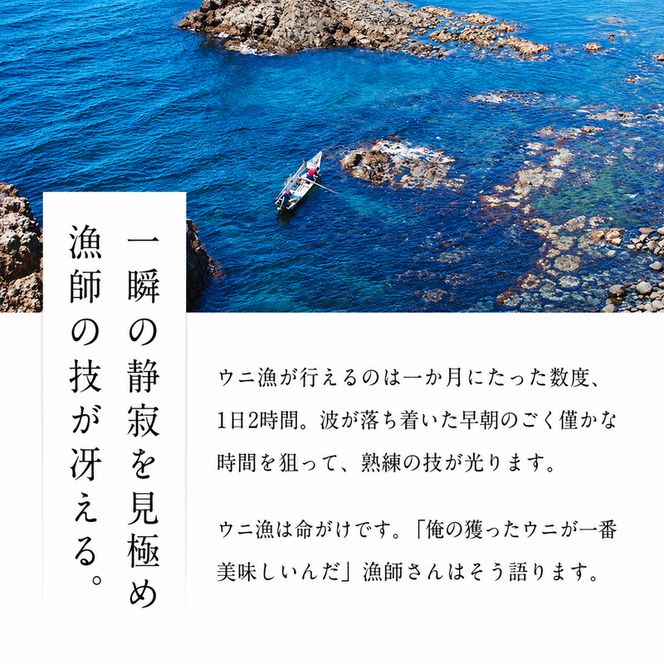 北海道礼文島産 旬凍エゾバフンウニ80g×1 魚貝類 雲丹 氷結 うに 