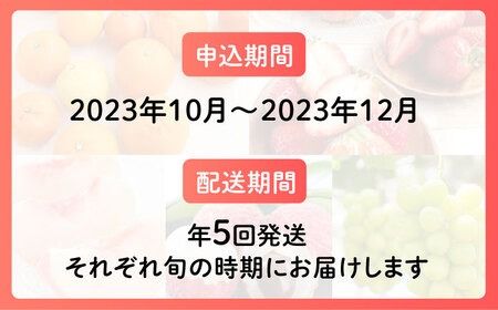 【全5回】糸島厳選くだもの定期便 約2人前 フルーツ 果物 糸島市 / やますえ あまおう シャインマスカット 桃 ライチ [AKA072]