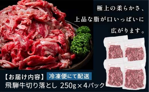 「肉の芸術品」飛騨牛切り落とし（モモ、肩、バラ）1kg（250g×4）【用途は様々！焼肉、BBQ、すき焼き、煮物、牛丼、炒め物など】 F4N-2858
