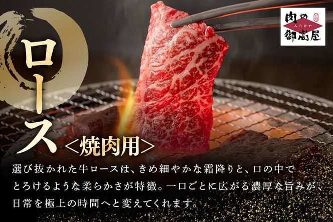 飛騨牛 A5等級「飛騨牛 サーロイン・ロース・ロース焼肉用 特盛セット 」冷蔵配送・焼肉・しゃぶしゃぶ・すき焼き 29