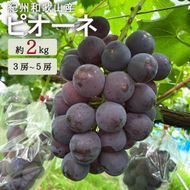 紀州和歌山産ピオーネ 約2kg_G7308