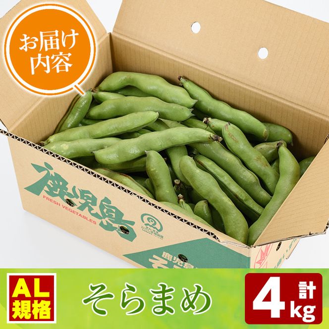 ＜先行予約受付中！2026年4月中旬以降順次発送予定＞春の味覚の鹿児島県産そらまめ(4kg) 大容量 国産 野菜 そら豆 ソラマメ セット 詰合せ 詰め合わせ 旬 ベジタブル 期間限定 AL規格 国産 鹿児島県産 阿久根市産 冷蔵【鹿児島いずみ農業協同組合】akn018-11
