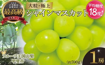 【2025年発送】 最高級 大房 シャインマスカット 1房 約700g 先行予約 山梨県産 産地直送 フルーツ 果物 くだもの ぶどう ブドウ 葡萄 シャイン シャインマスカット 新鮮 人気 おすすめ 国産 山梨 甲斐市 贈答 ギフト お取り寄せ 糖度18度～糖度20度 AN-127